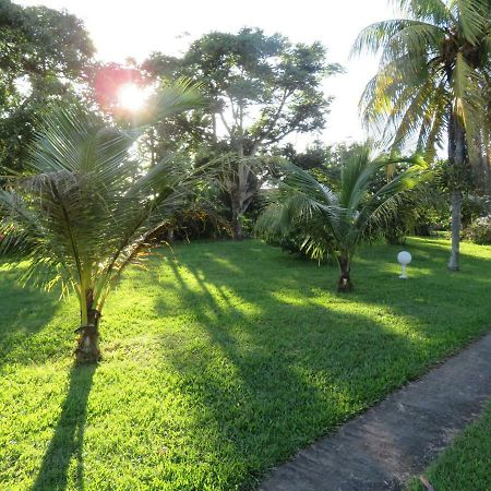 Ti Cajou Apartment Baie-Mahault Bagian luar foto