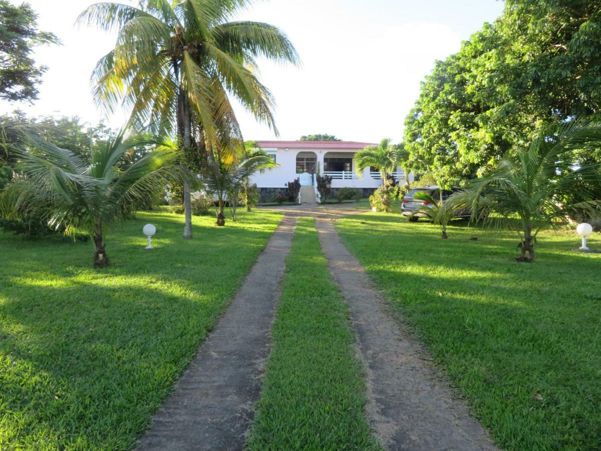 Ti Cajou Apartment Baie-Mahault Bagian luar foto