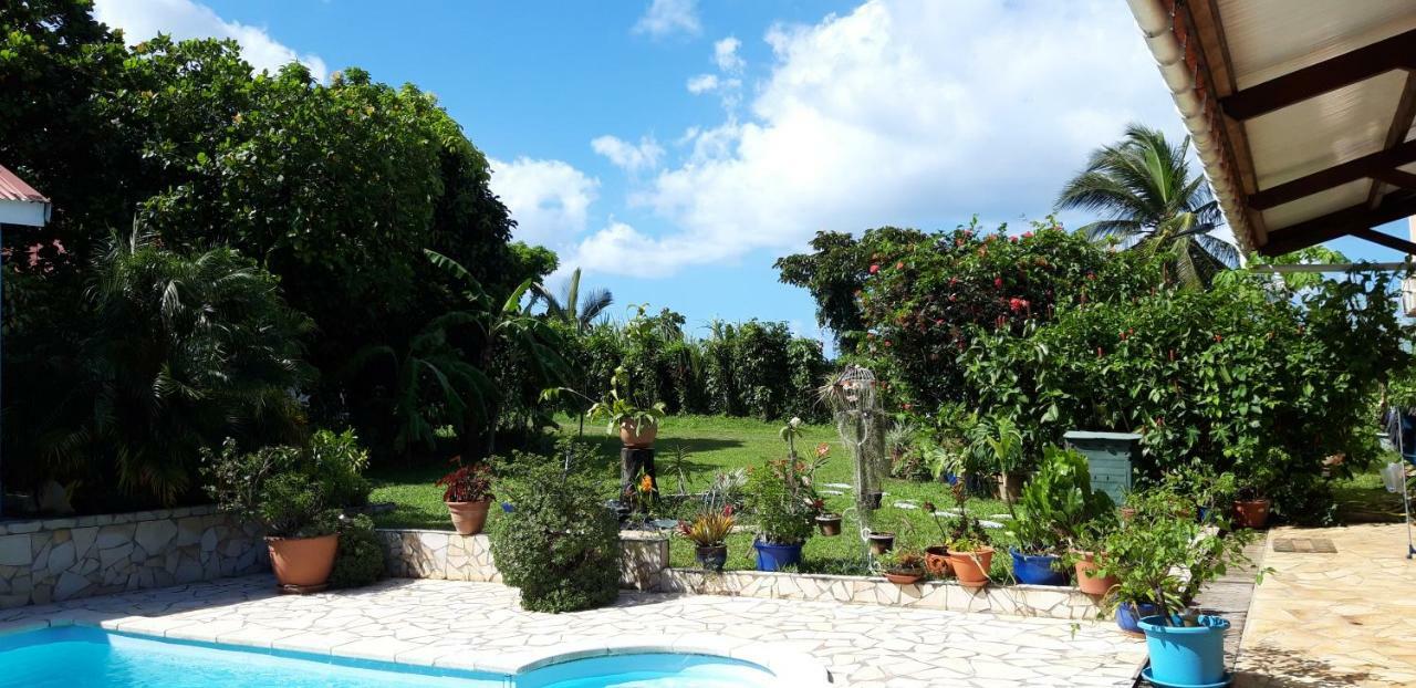 Ti Cajou Apartment Baie-Mahault Bagian luar foto